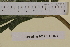  ( - SEL_0021)  @11 [ ] CreativeCommons - Attribution Non-Commercial Share-Alike (2013) Unspecified Tromso University Museum