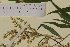  ( - SEL_0022)  @11 [ ] CreativeCommons - Attribution Non-Commercial Share-Alike (2013) Unspecified Tromso University Museum