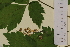  ( - SEL_0031)  @11 [ ] CreativeCommons - Attribution Non-Commercial Share-Alike (2013) Unspecified Tromso University Museum