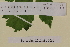  ( - SEL_0031)  @11 [ ] CreativeCommons - Attribution Non-Commercial Share-Alike (2013) Unspecified Tromso University Museum