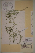  ( - SEL_0337)  @11 [ ] CreativeCommons - Attribution Non-Commercial Share-Alike (2012) Unspecified Tromso University Museum