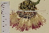  ( - SEL_0424)  @11 [ ] CreativeCommons - Attribution Non-Commercial Share-Alike (2012) Unspecified Tromso University Museum