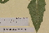  ( - SEL_0425)  @11 [ ] CreativeCommons - Attribution Non-Commercial Share-Alike (2012) Unspecified Tromso University Museum