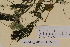  ( - SEL_0506)  @11 [ ] CreativeCommons - Attribution Non-Commercial Share-Alike (2012) Unspecified Tromso University Museum