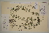  ( - SEL_0507)  @11 [ ] CreativeCommons - Attribution Non-Commercial Share-Alike (2012) Unspecified Tromso University Museum
