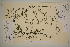  ( - SEL_0508)  @11 [ ] CreativeCommons - Attribution Non-Commercial Share-Alike (2012) Unspecified Tromso University Museum