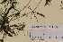  ( - SEL_0508)  @11 [ ] CreativeCommons - Attribution Non-Commercial Share-Alike (2012) Unspecified Tromso University Museum
