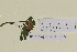  ( - SEL_0572)  @11 [ ] CreativeCommons - Attribution Non-Commercial Share-Alike (2012) Unspecified Tromso University Museum
