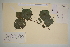  ( - SEL_0578)  @11 [ ] CreativeCommons - Attribution Non-Commercial Share-Alike (2012) Unspecified Tromso University Museum