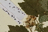  ( - SEL_0579)  @11 [ ] CreativeCommons - Attribution Non-Commercial Share-Alike (2012) Unspecified Tromso University Museum