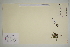  ( - SEL_0608)  @11 [ ] CreativeCommons - Attribution Non-Commercial Share-Alike (2012) Unspecified Tromso University Museum