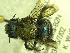 ( - BBSL7757900)  @12 [ ] Unspecified (default): All Rights Reserved  Unspecified Unspecified