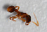  ( - TKDNA10)  @12 [ ] Unspecified (default): All Rights Reserved  Unspecified Unspecified