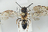  ( - NOAPI438)  @12 [ ] CreativeCommons - Attribution Non-Commercial Share-Alike (2014) Arnstein Staverlokk Norwegian Institute of Nature Research