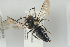  ( - NOAPI479)  @11 [ ] CreativeCommons - Attribution Non-Commercial Share-Alike (2014) Arnstein Staverlokk Norwegian Institute of Nature Research