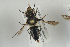  ( - NOAPI481)  @13 [ ] CreativeCommons - Attribution Non-Commercial Share-Alike (2014) Arnstein Staverlokk Norwegian Institute of Nature Research