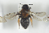  ( - NOAPI337)  @12 [ ] CreativeCommons - Attribution Non-Commercial Share-Alike (2014) Arnstein Staverlokk Norwegian Institute of Nature Research