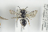  ( - NOAPI348)  @11 [ ] CreativeCommons - Attribution Non-Commercial Share-Alike (2014) Arnstein Staverlokk Norwegian Institute of Nature Research
