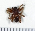  ( - NHMO_ARA00226)  @12 [ ] Unspecified (default): All Rights Reserved  Unspecified Unspecified