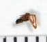  ( - NHMO_ARA00092)  @12 [ ] Unspecified (default): All Rights Reserved  Unspecified Unspecified