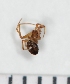  ( - NHMO_ARA00093)  @12 [ ] Unspecified (default): All Rights Reserved  Unspecified Unspecified