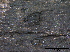  ( - TROM-F15824)  @11 [ ] CreativeCommons - Attribution Non-Commercial Share-Alike (2015) Unspecified Tromso University Museum