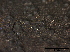  ( - TROM-F15832)  @11 [ ] CreativeCommons - Attribution Non-Commercial Share-Alike (2015) Unspecified Tromso University Museum