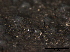  ( - TROM-F15832)  @11 [ ] CreativeCommons - Attribution Non-Commercial Share-Alike (2015) Unspecified Tromso University Museum