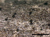  ( - TROM-F15833)  @11 [ ] CreativeCommons - Attribution Non-Commercial Share-Alike (2015) Unspecified Tromso University Museum