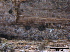  ( - TROM-F15844)  @11 [ ] CreativeCommons - Attribution Non-Commercial Share-Alike (2015) Unspecified Tromso University Museum