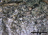  ( - TROM-F15847)  @11 [ ] CreativeCommons - Attribution Non-Commercial Share-Alike (2015) Unspecified Tromso University Museum