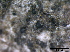  ( - TROM-F15847)  @11 [ ] CreativeCommons - Attribution Non-Commercial Share-Alike (2015) Unspecified Tromso University Museum