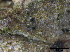  ( - TROM-F15850)  @11 [ ] CreativeCommons - Attribution Non-Commercial Share-Alike (2015) Unspecified Tromso University Museum
