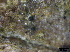  ( - TROM-F15850)  @11 [ ] CreativeCommons - Attribution Non-Commercial Share-Alike (2015) Unspecified Tromso University Museum