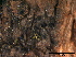  ( - TROM-F15855)  @11 [ ] CreativeCommons - Attribution Non-Commercial Share-Alike (2015) Unspecified Tromso University Museum