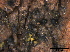  ( - TROM-F15855)  @11 [ ] CreativeCommons - Attribution Non-Commercial Share-Alike (2015) Unspecified Tromso University Museum
