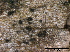  ( - TROM-F15857)  @11 [ ] CreativeCommons - Attribution Non-Commercial Share-Alike (2015) Unspecified Tromso University Museum