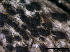  ( - TROM-F15860)  @11 [ ] CreativeCommons - Attribution Non-Commercial Share-Alike (2015) Unspecified Tromso University Museum