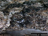  ( - TROM-F15861)  @11 [ ] CreativeCommons - Attribution Non-Commercial Share-Alike (2015) Unspecified Tromso University Museum