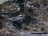 ( - TROM-F15861)  @11 [ ] CreativeCommons - Attribution Non-Commercial Share-Alike (2015) Unspecified Tromso University Museum