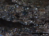  ( - TROM-F15864)  @11 [ ] CreativeCommons - Attribution Non-Commercial Share-Alike (2015) Unspecified Tromso University Museum