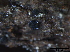  ( - TROM-F15864)  @11 [ ] CreativeCommons - Attribution Non-Commercial Share-Alike (2015) Unspecified Tromso University Museum
