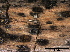  ( - TROM-F15866)  @11 [ ] CreativeCommons - Attribution Non-Commercial Share-Alike (2015) Unspecified Tromso University Museum