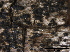  ( - TROM-F15868)  @11 [ ] CreativeCommons - Attribution Non-Commercial Share-Alike (2015) Unspecified Tromso University Museum