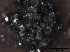  ( - TROM-F15879)  @11 [ ] CreativeCommons - Attribution Non-Commercial Share-Alike (2015) Unspecified Tromso University Museum