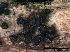 ( - TROM-F15888)  @11 [ ] CreativeCommons - Attribution Non-Commercial Share-Alike (2015) Unspecified Tromso University Museum