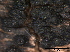  ( - TROM-F24363)  @11 [ ] CreativeCommons - Attribution Non-Commercial Share-Alike (2015) Unspecified Tromso University Museum