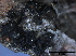  ( - TROM-F26040)  @11 [ ] CreativeCommons - Attribution Non-Commercial Share-Alike (2015) Unspecified Tromso University Museum
