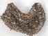  ( - TROM_F_17291)  @11 [ ] CreativeCommons - Attribution Non-Commercial Share-Alike (2017) Unspecified Tromsø University Museum