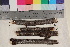  (Eutypella sorbi - TROM-F-25454)  @11 [ ] CreativeCommons - Attribution Non-Commercial Share-Alike (2017) Unspecified Tromsø University Museum